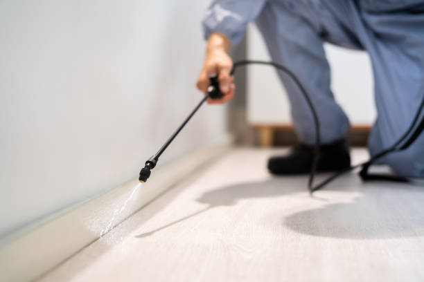 Licensed Pest Control service in Brookville, PA - Show Me Pest Control