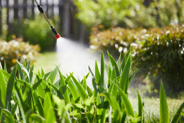 Tamper-Resistant Bait Stations for Rodents in Brookville
