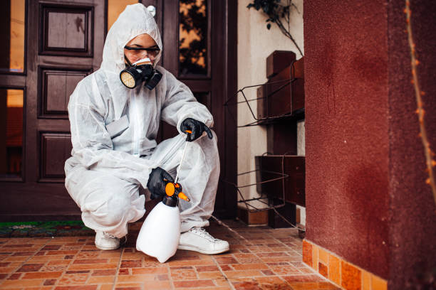 Attic and Crawl Space Rodent Treatment in Brookville