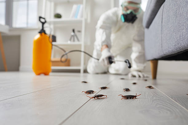 Commercial Rodent Management in Brookville